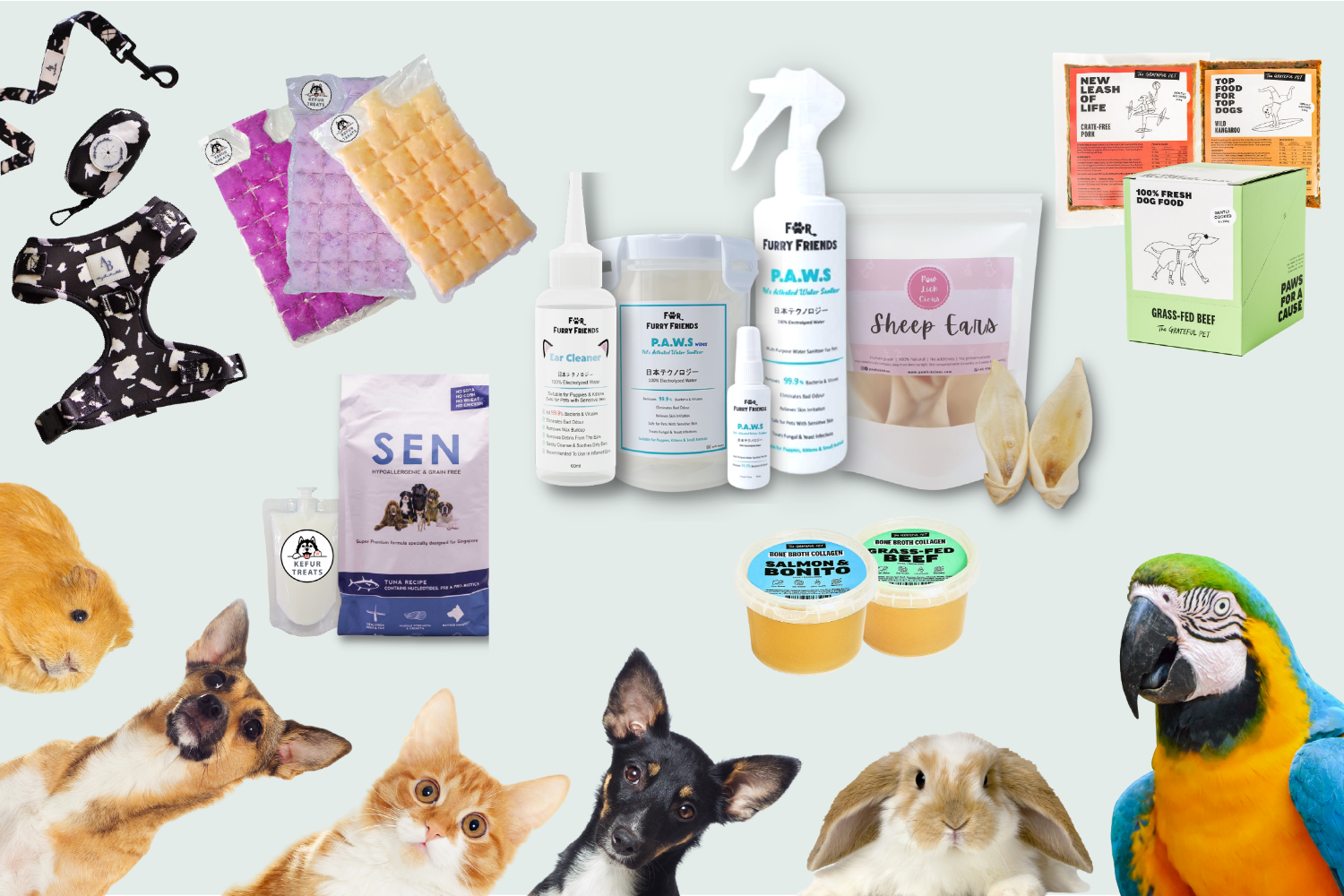 Pet Department SG hero banner